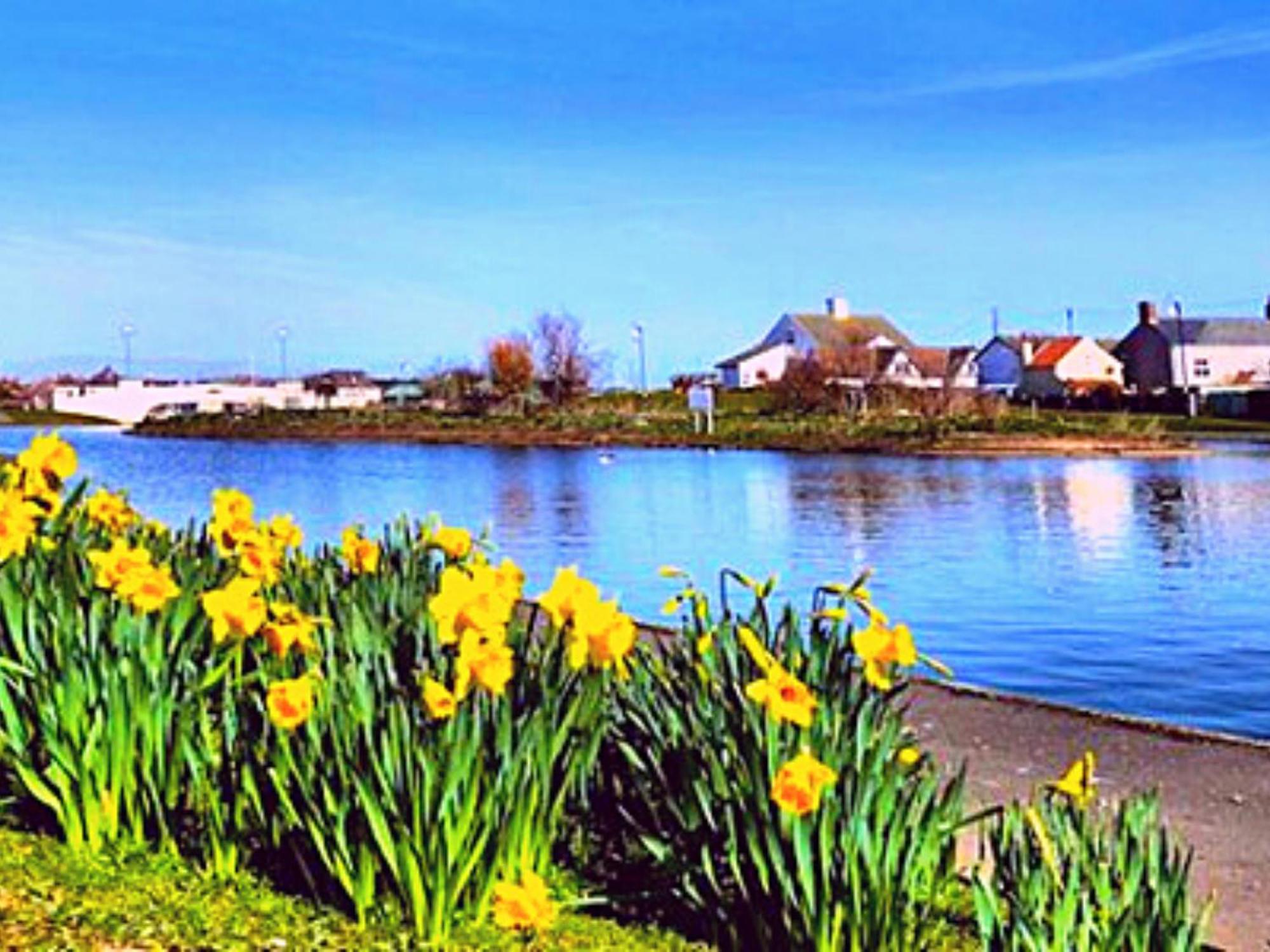 Romantic Lakeside Cottage By The Beach! With Super Cosy Log Burner! The Perfect Escape To Your Home From Home By The Sea! So Relaxing - You Won'T Want To Leave! Pet Friendly! Mablethorpe Exteriér fotografie